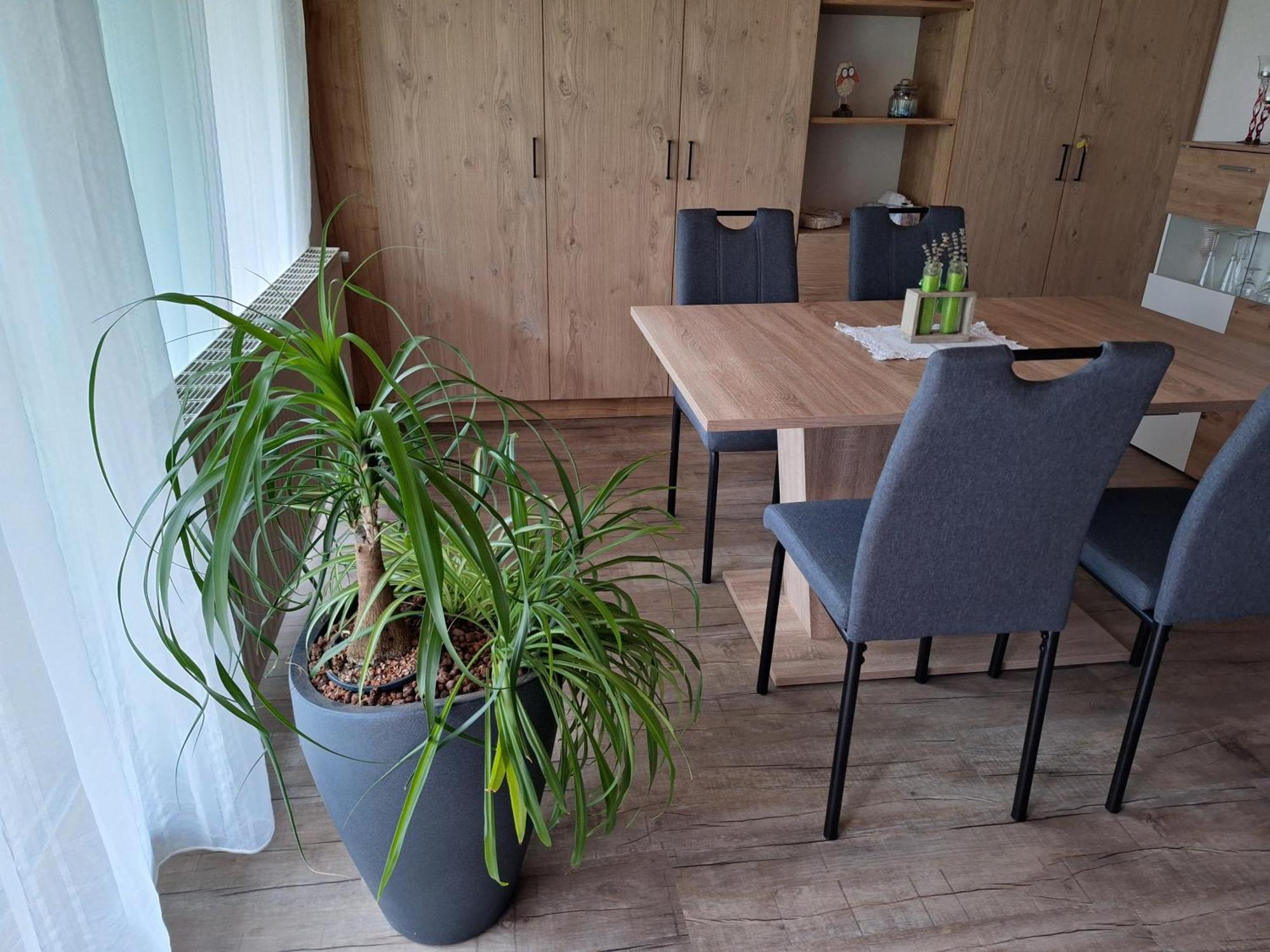 Apartment Eva Заутенс Екстер'єр фото